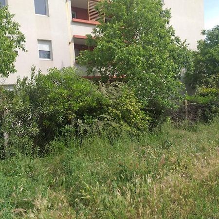 Le Nomade, Parc Montcalm Et Stationnement Prive Daire Montpellier Dış mekan fotoğraf